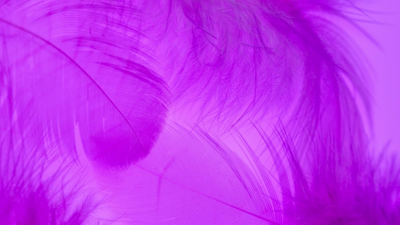 sleep NOW!!! YESREST with purple flowers to help you Sleep, Study, 