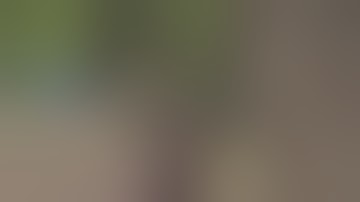 Rust59/ По тихой грусти на 4 сервере)