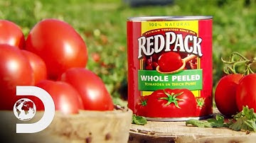 CANNED TOMATOES | How It
