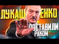 Лукашенко Встал в позу / Реальная Беларусь