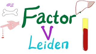 Factor V Leiden - Hypercoagulability - Bleeding and Coagulation Disorders - Hematology