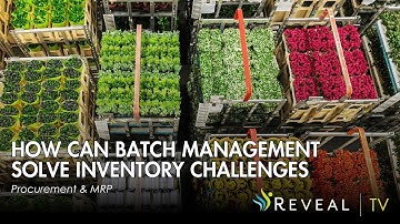 SAP Batch Management Explained: Optimize Inventory & Traceability