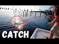 Best Snook Fishing in Florida | Guaranteed Catch