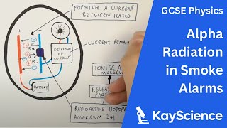Using Alpha Radiation in Smoke Alarms  GCSE Physics | kayscience.com