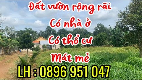 Anh Đồng bán đất lấy tiền làm ăn mảnh đất đẹp có nhà vườn trái cây khu dân cư gần hồ Bàu Sen Xà Bang