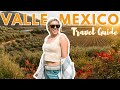 Video de Valle de Guadalupe