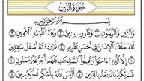 سورة التين مكتوبة بصوت مشاري راشد العفاسي