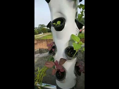iHidroponik toweri liatin taneman aja YouTube iHidroponik toweri liatin taneman aja YouTube