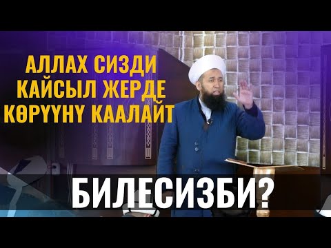 Video: Флорида кайсы жерде сизди кабыл алат?