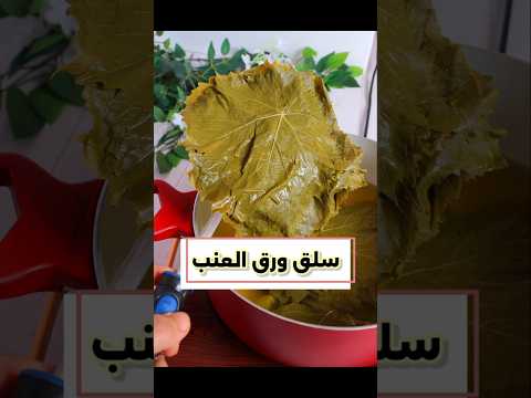 ورق عنب مزهز ه بعد السلق أسرار سلق ورق العنب سلق ورق العنب طريقة سلق ورق العنب 
