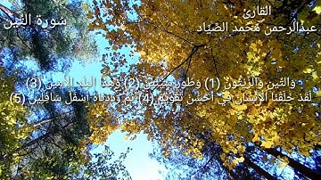 سورة التين / بصوت القارئ عبدالرحمن محمد الصياد