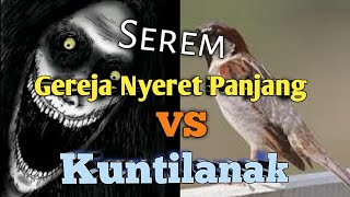 Masteran Greja nyeret Sambung Kuntilanak Cocok Untuk Cendet || Durasi Panjang