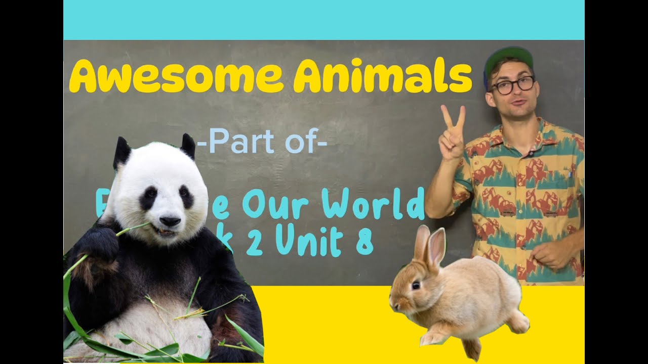 AWESOME ANIMALS - EXPLORE OUR WORLD BOOK 2 UNIT 8 - YouTube