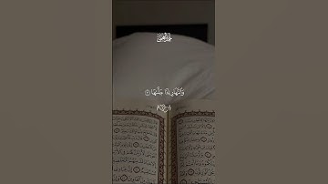 تلاوة هادئة ومؤثرة بصوت الشيخ أحمد العجمي ♡ #احمد_العجمي #short