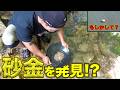 【山復興第2弾#137】川で砂金を見つけてみたら！？
