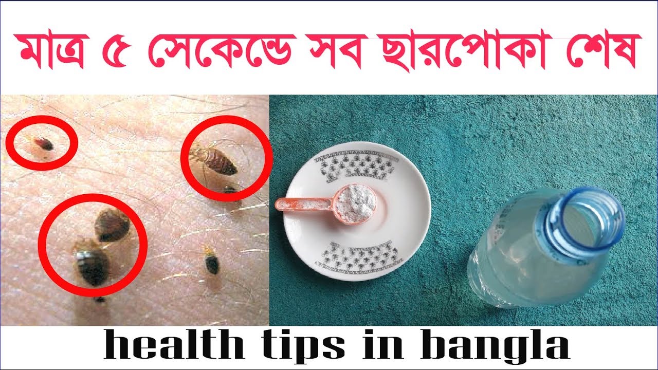 health-tips-bangla-2017-youtube