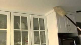Extending High Duster with a Microfiber Duster Head - askcindyshop.com