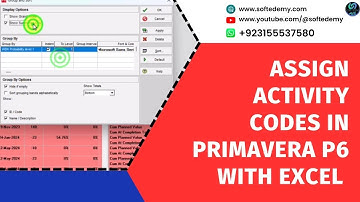 Assign Activity Codes in Primavera P6 with Excel (FAST & EASY!)