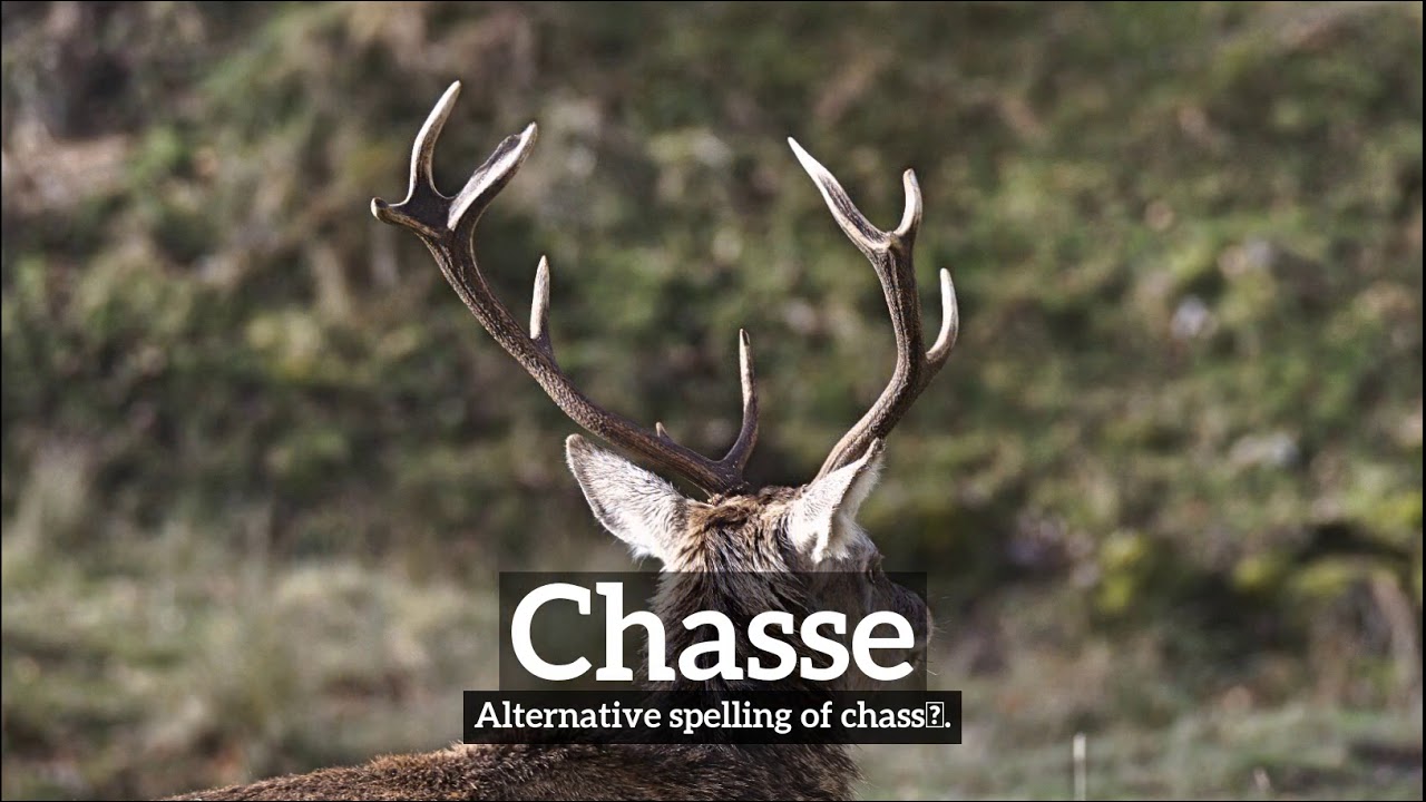What Is Chasse How Does Chasse Look How To Say Chasse In English dassault-aviation-develops-f5-super-rafale-youtube