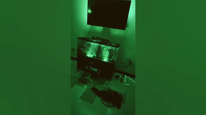 The set up