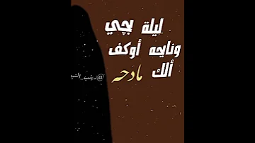 باسم الكربلائي السيدة زينب الامام الح سين زينب الشيعيه 313 اللهم عجل لوليك الفࢪج 