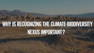 COP 16 Outcomes— Climate -Biodiversity Nexus