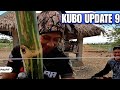 P1-KUBO UPDATE 9 - EP1341