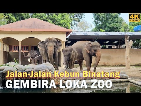 GEMBIRA LOKA ZOO YOGYAKARTA ‼️ KEBUN BINATANG TERBAIK DAN TERBESAR DI YOGYAKARTA | WISATA KELUARGA