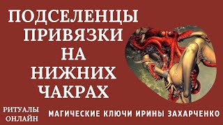 Подселенцы привязки на нижних чакрах. Ритуал онлайн. Ритуал чистка.