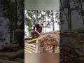 Building a Strong Stone &amp; Wood Survival Shelter 🪨🌲 | Ultimate Bushcraft Crafting #survivalskills