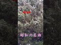 なごり雪#shorts#イルカ#relicsnow#昭和の名曲
