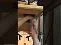 【ジャンク】浮かぬなら浮かせてみせようパソコン本体【ハードオフ】