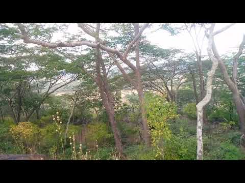 Tuonee Official Video