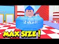 I BECAME MAX SIZE IN FAT RACE SIMULATOR!