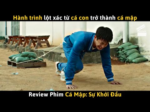 Phim Shark Hàn Quốc - [Review Phim] Khi Bị Bắt Nạt Bạn Muốn Làm Cá Mập Hay là Cá Con?