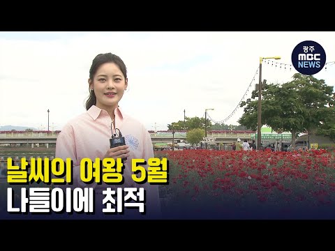 [뉴스데스크]날씨 좋은 주말.. 나들이 명소는?