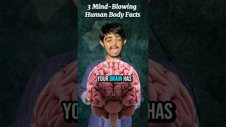 3 Mind-Blowing Human Body Facts You Didn&#39;t Know! 🤯 #Shorts