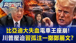 BYD's 'Huge Sales, Huge Losses' - A Microcosm of the Economy!