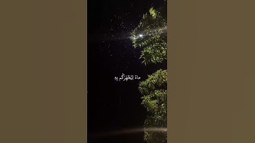 القارئ : عبد الرحمن مسعد ﴿ إِذْ يُغَشِّيكُمُ النُّعَاسَ أَمَنَةً مِّنْهُ وَيُنَزِّلُ ﴾[ الأنفال: 11]