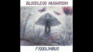 Fissolimbus - 03 - Activating the Device