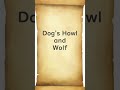 Dog's Howl and Wolf