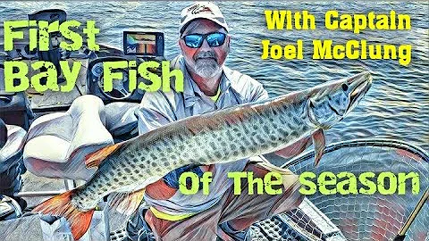 MUSKY! First Bay Fish Of The Season