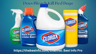 Does Bleach Kill Bed Bugs | How to Kill Bedbugs with Clorox Bleach