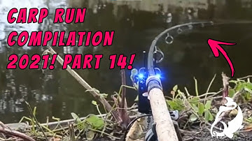 CARP RUN COMPILATION 2021! PART 14!