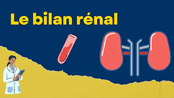 Quelle prise de sang pour fonction rénale ?