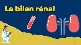 Interpréter un bilan rénal: créatinine et urée