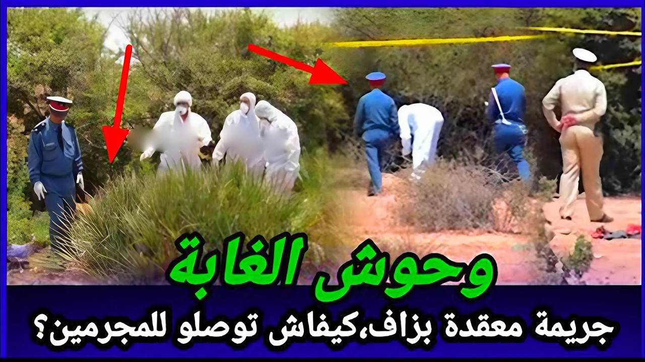 لقاوه مفتول في عمق الغابة، قضية استغرقت وقتًا طويلاً للتحقيق واللغز محير