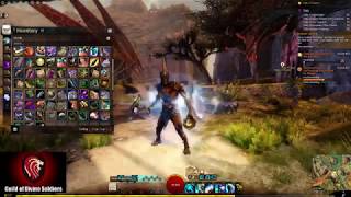 Guild Wars 2 - Endless Awakened Archer Tonic