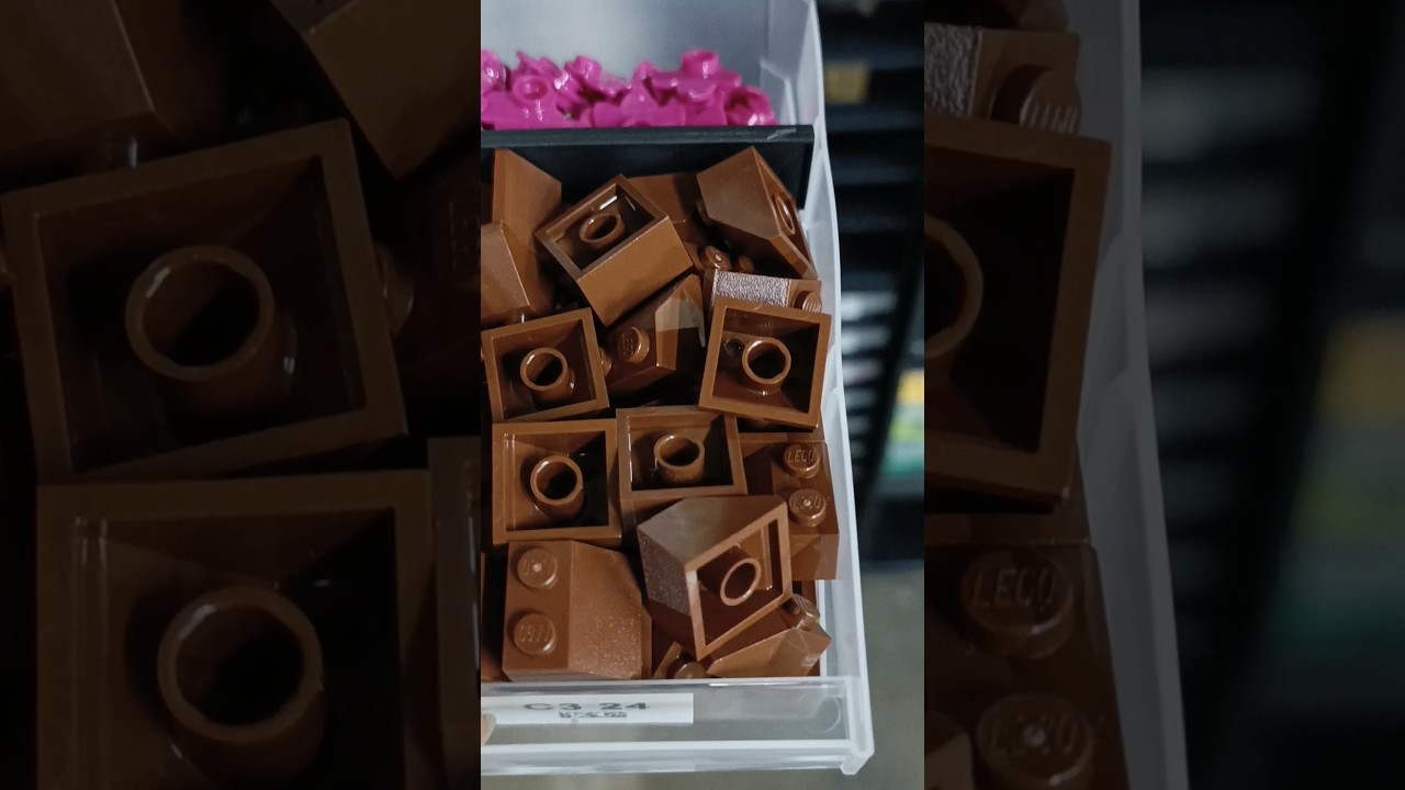 The process of organizing 