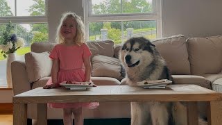 Adorable Little Girl And Her Dog Caught On Hidden Camera! (Cutest Ever!!)